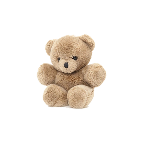 卡通毛绒泰迪熊免抠素材