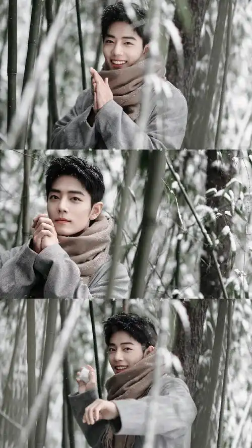 肖战冬至竹林大片