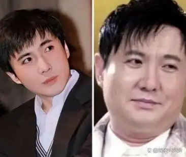 脸部塌方发腮油腻这些男星以前很帅如今却颜值坍塌