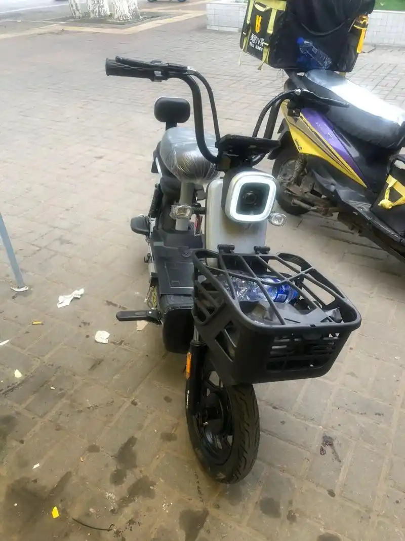 斯波兹曼小羚羊f400 喜提人生中第一辆电动车 下午买的 此时还在懵逼