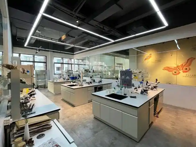 微观乡村|打造县城里的标准实验室 植物学博士刘芝龙:扎根乡村5年,把