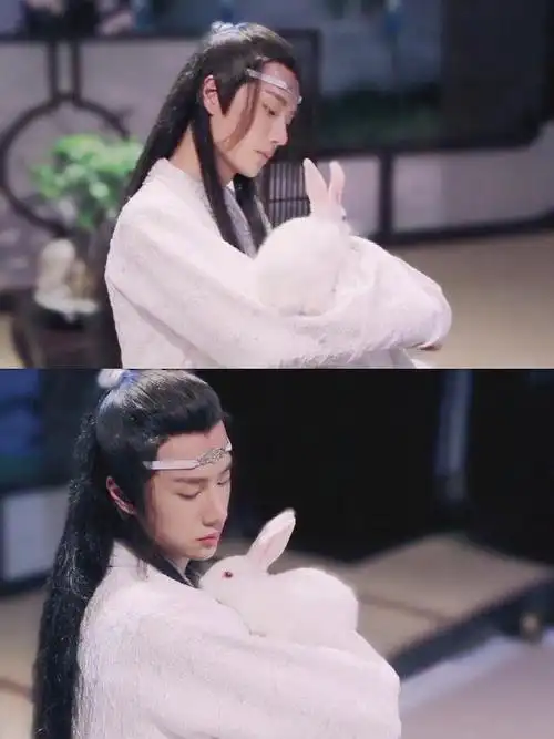 提问:蓝湛抱兔子的路透龟龟们正片里看到了吗?