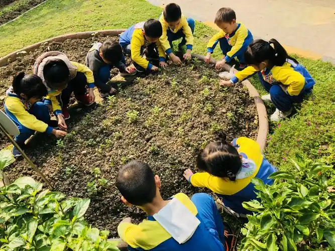 种植活动 写美篇  《纲要》中明确指出:幼儿园应培养孩子爱护动植物