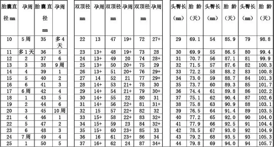 豪放!胚芽儿大小对照表"全力以赴"-第2张图片-西卡博客
