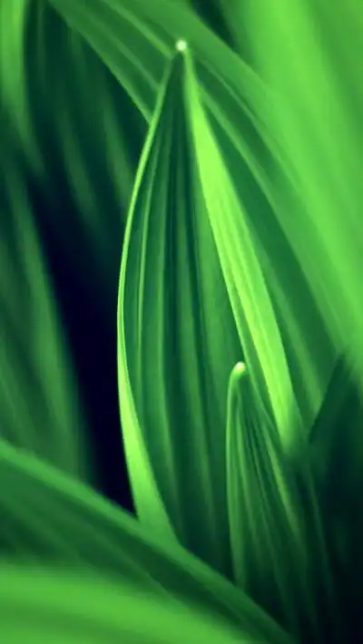 绿色- 堆糖,美图壁纸兴趣社区