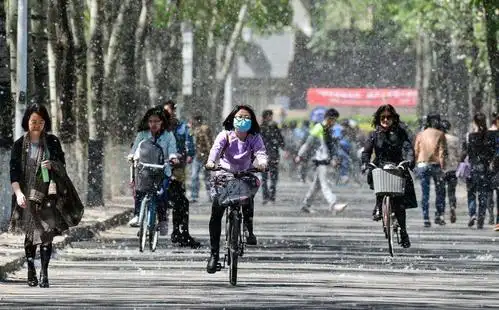 柳絮满天飞,哮喘人群出门就咳嗽?专家教您如何应对!