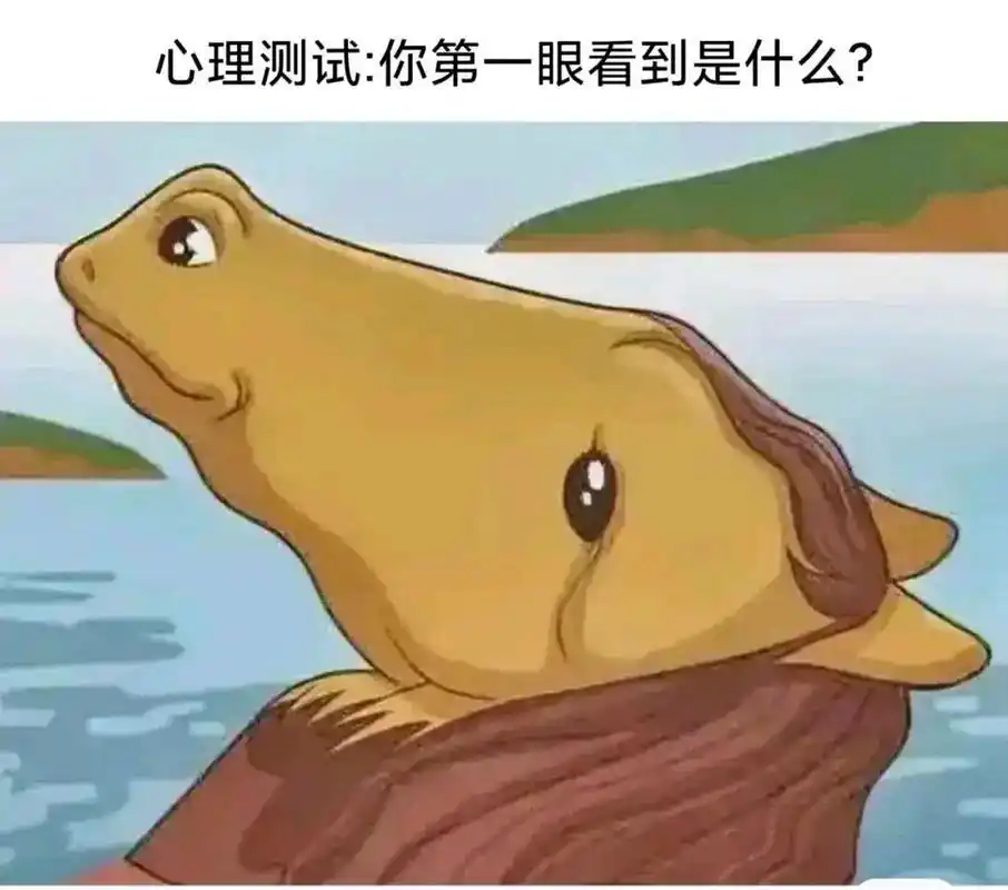 青蛙b.马c.同时看见