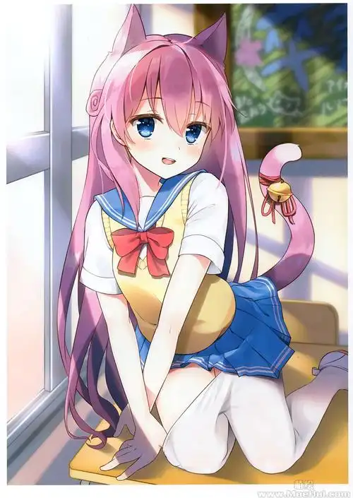 会员画集watapunchmauvekutatanekopunchsailor12p