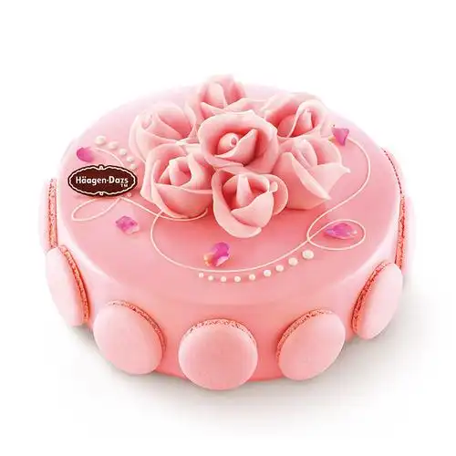 哈根达斯 蛋糕冰淇淋 玫瑰馨语500克 二维码专拍