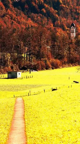 微博壁纸集-风景静物系列手机壁纸★【新浪微博:高清无水印iphon让