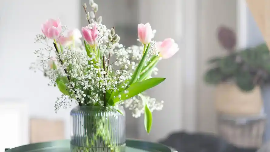 花朵images壁纸【24】(小清新静态壁纸) - 静态壁纸下载 - 元气壁纸