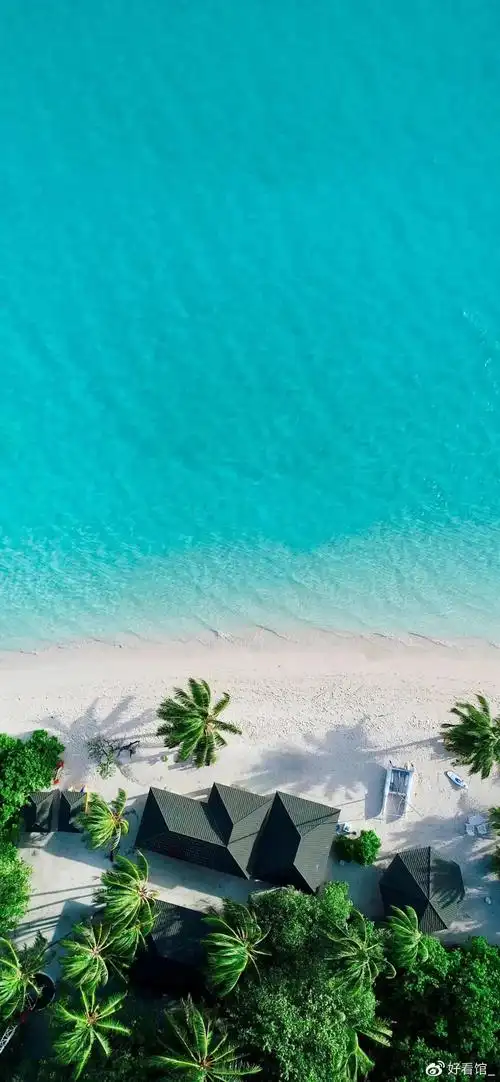 4k超高清竖屏|很火的潮图壁纸|高清1080p