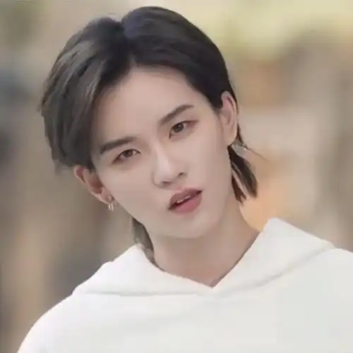 陆柯燃61可二改