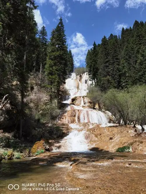 p40pro 照相效果图