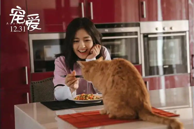 宠爱曝默默爱着你版预告于和伟哽咽着跟李兰迪道歉看哭观众