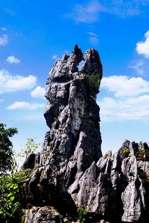 天下奇观〃千年一吻"