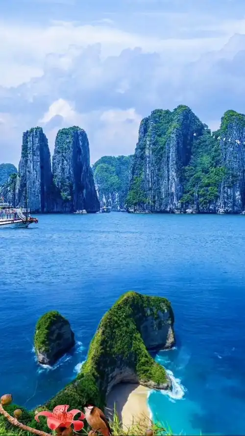 海上小桂林,山海秀丽,景色酷似桂林山水而闻名.你觉得怎么样呢?