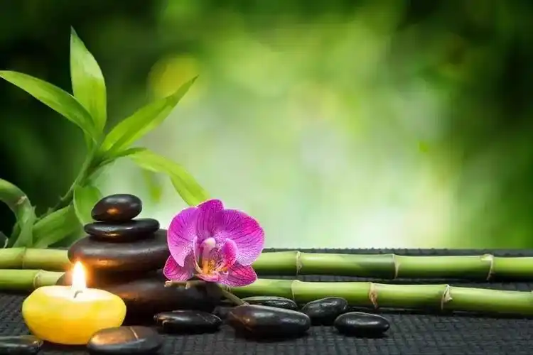 一心淡泊入世一丝禅意入心