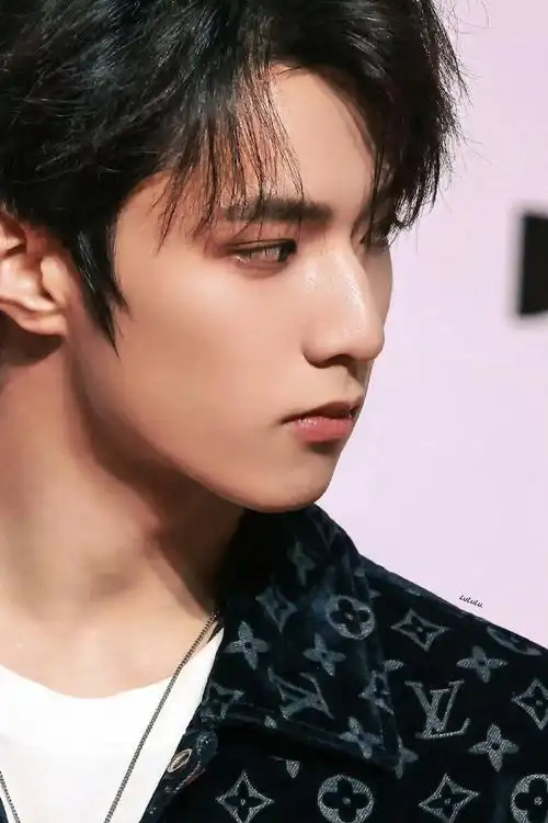 刘耀文lv推广图##刘耀文路易威登品牌大使