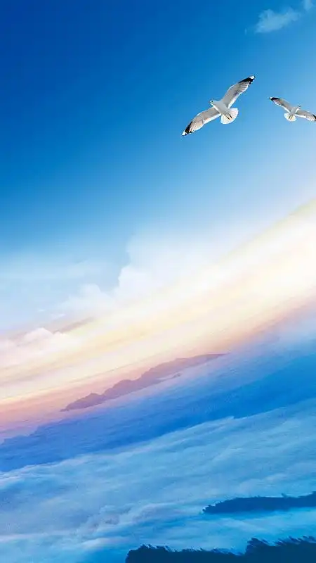 云海上的雄鹰h5背景