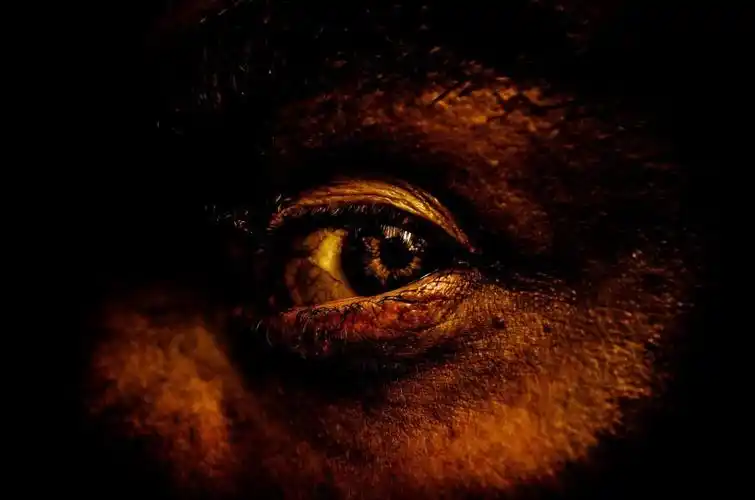 瞳孔,6767背景,黑色,脸,眼睛,高清图片-纯色壁纸