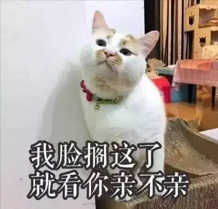 撩到老公硬的表情包