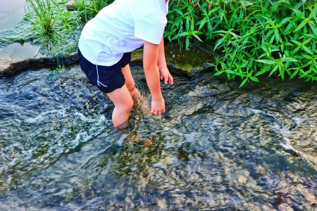 看,桃村清阳河吸引了这么多人,这叫一个爽歪歪