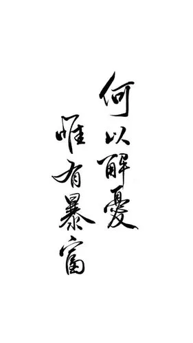 壁纸流行语 背景白何以解忧 唯有暴富