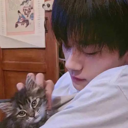 易烊千玺头像集266