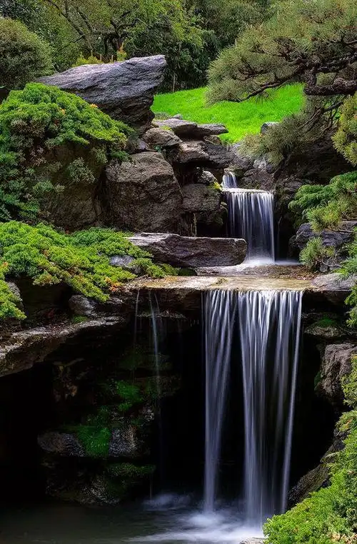 庭院自然式水景边适合种什么植物?这6种植物值得拥有!