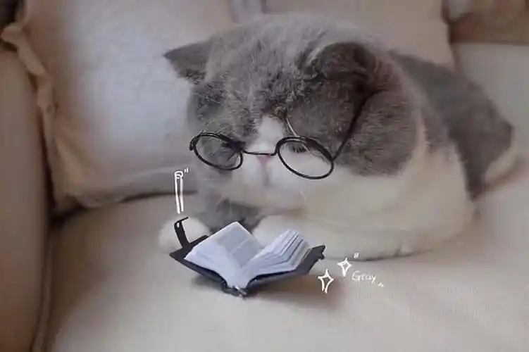 少女心 - 堆糖,美图壁纸兴趣社区