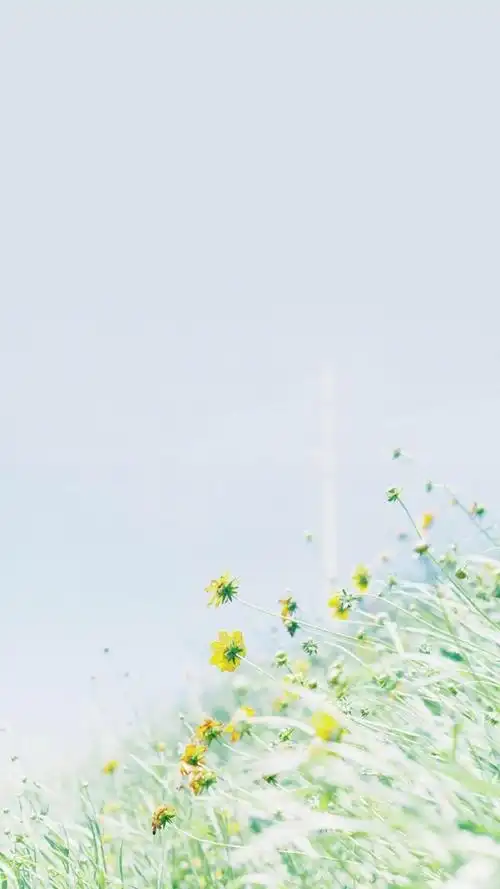 唯美小清新自然风光,高清图片,手机锁屏桌面-壁纸族