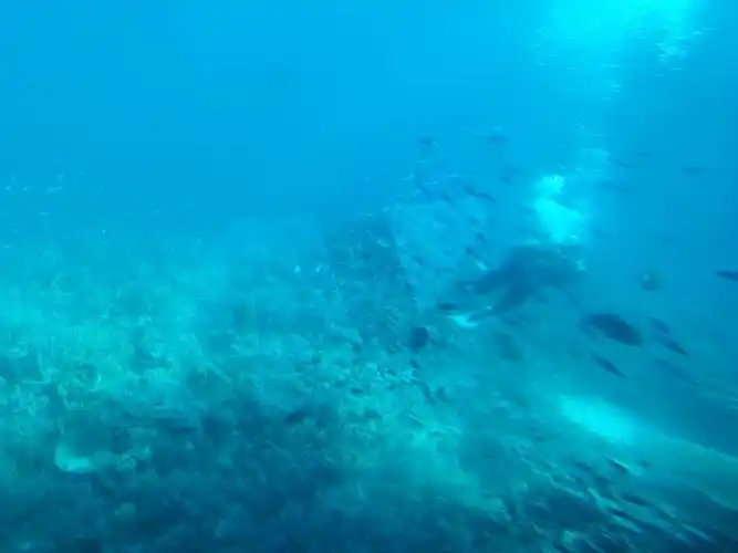 坐在窗前看着海底的水下世界.这是置身