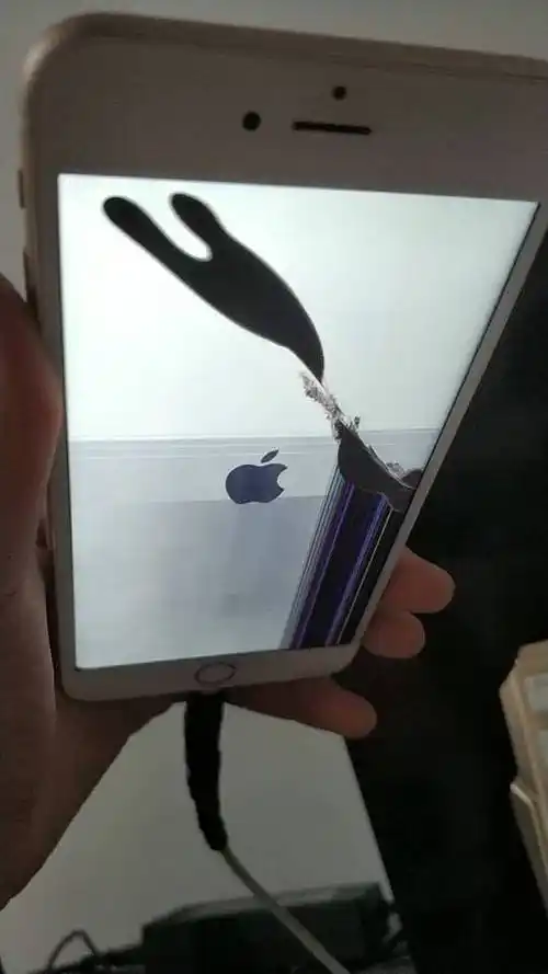 苹果6sp 屏幕着地摔了一下 触摸失灵 漏液 还有竖条 是什么情况?