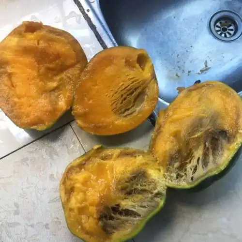 > 【中华特色】蒲江馆 攀枝花凯特大芒果5斤装大青芒 当季时令新鲜