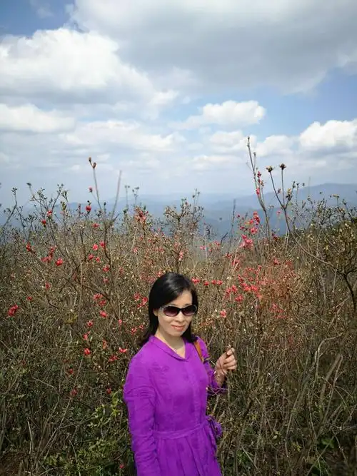 映山红还真没开几棵呢,想来四八门赏花的友友下星期来可能正好哦