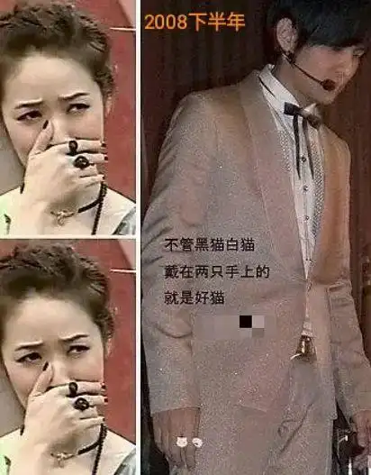 2010年1月两人订婚,算是侯佩岑单方面给周侯恋画上了句号