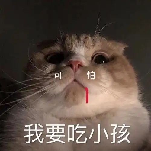 萌宠gif喵星人gif我要吃小孩gif可怕gif搞怪gif逗gif