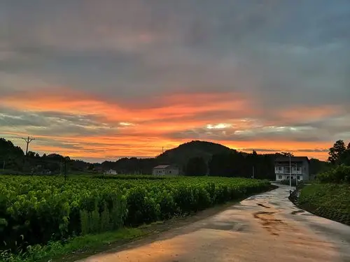 《西陵镇的晚霞》