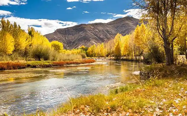 风景图片  关键词:拉萨秋季美景高清图片小河小溪河流树林森林秋天