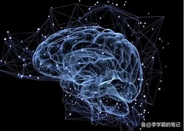 感觉统合是指将人体器官各部分感觉信息输入组合起来,经大脑整合作用