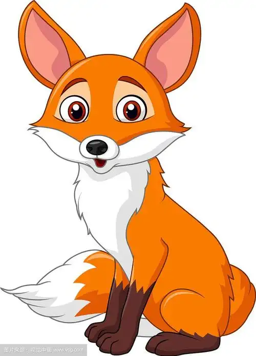 可爱的狐狸独自坐在白色的背景上