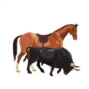 马和牛行中照片