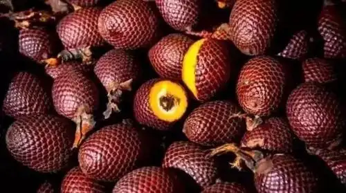 25种高价值珍稀水果,听说能认出5种的就被封为超级牛人!(二)