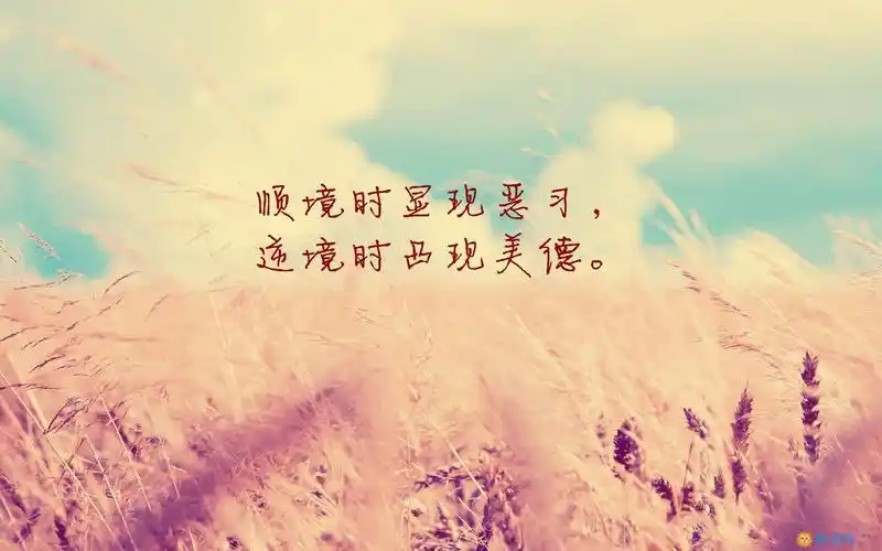 励志的文字桌面壁纸