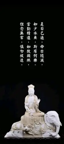 壁纸|佛系壁纸而已