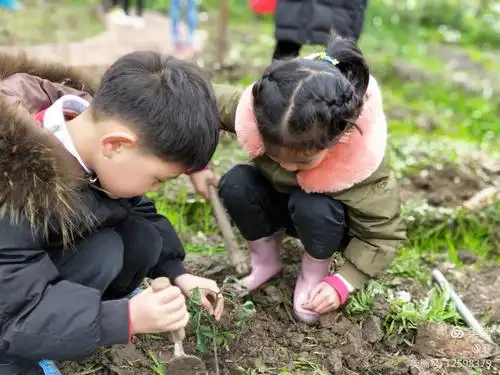 崇州市实验幼儿园教育集团之七彩家园区爱心花园之旅——"我种植,我