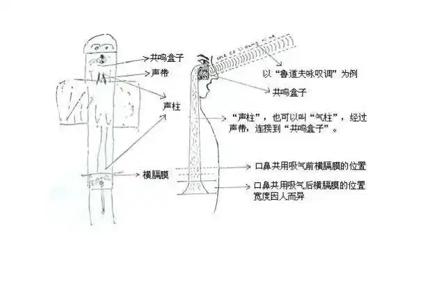 气息不通畅,可能很多人看到胖一点的人,唱歌都非常的好,位置也很高