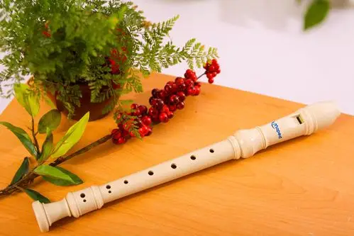 法国马培德 maped 八孔竖笛 可拆卸 学生竖笛 040701 笛子 竖笛