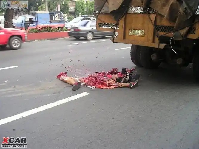 网上购买车辆保险 机动车损失险助动车